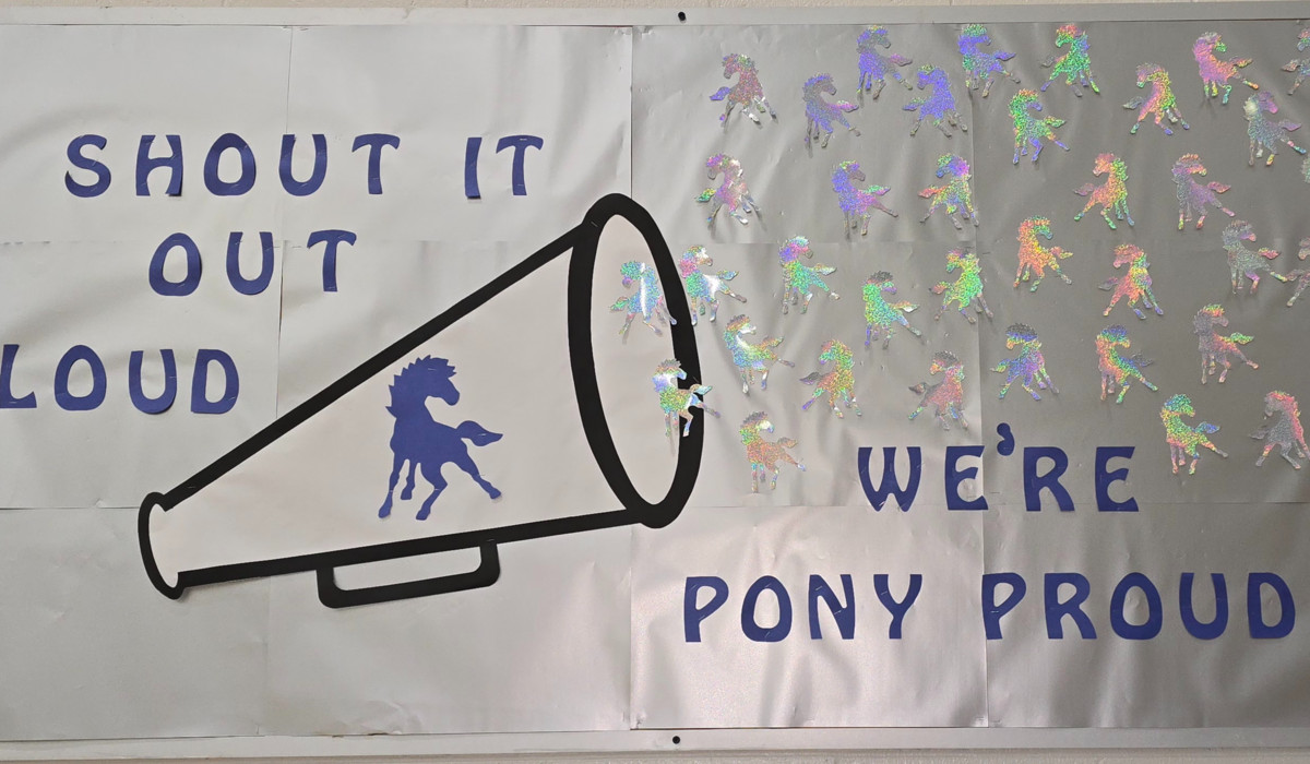 Shout It Loud, We're Pony Proud Bulletin Board